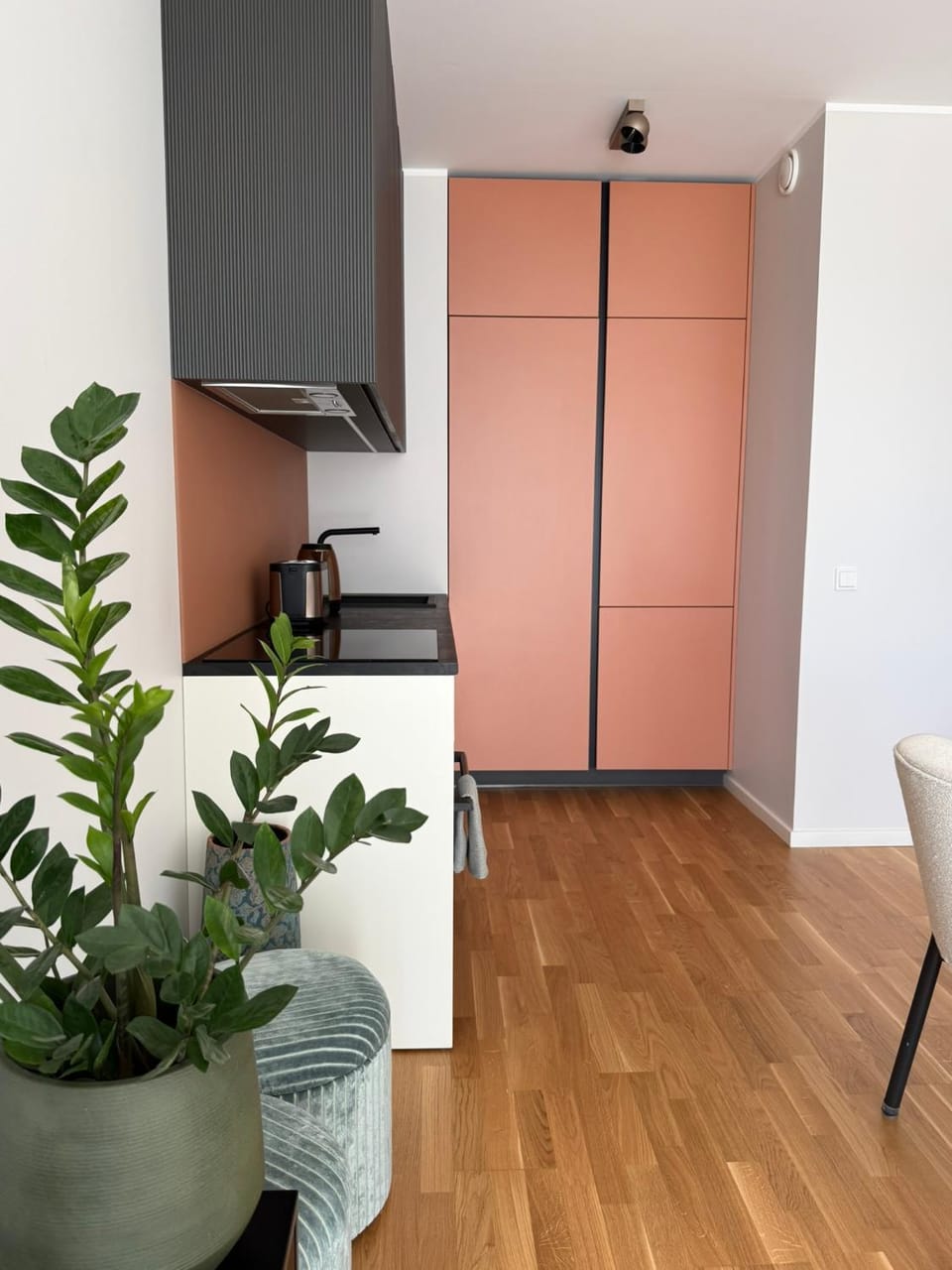 Kitchen or kitchenette, Dining area, dishwasher, oven, stove