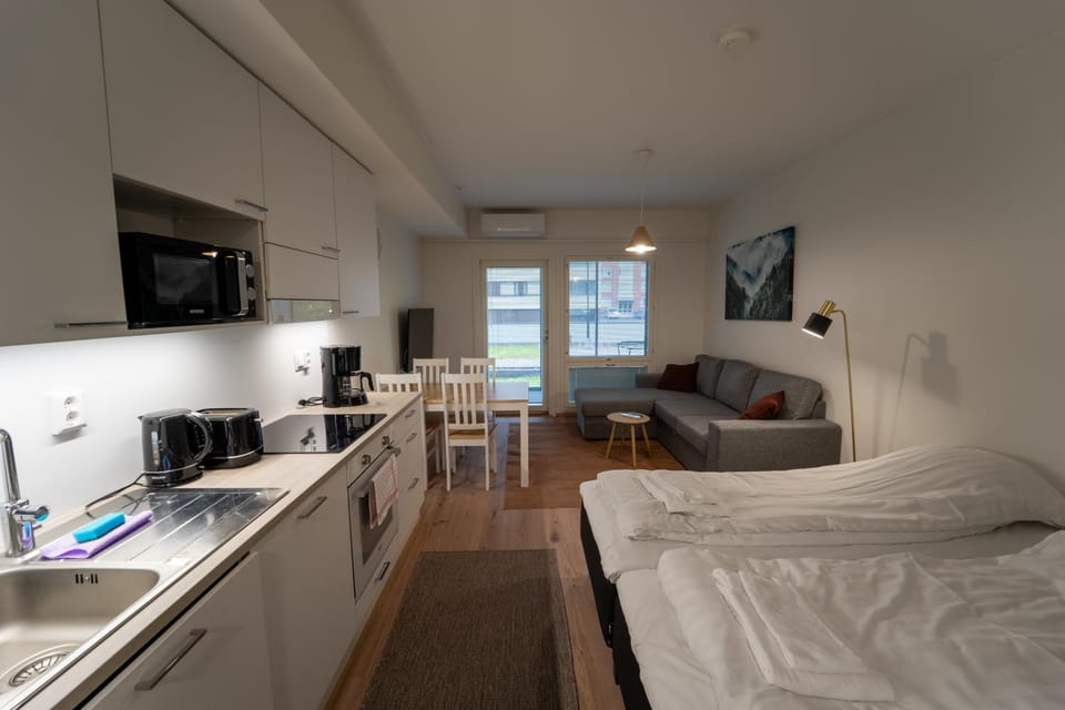 Bed, TV and multimedia, Coffee/tea facilities, Living room, Photo of the whole room, Seating area, Dining area, oven, stove, toaster, air conditioner