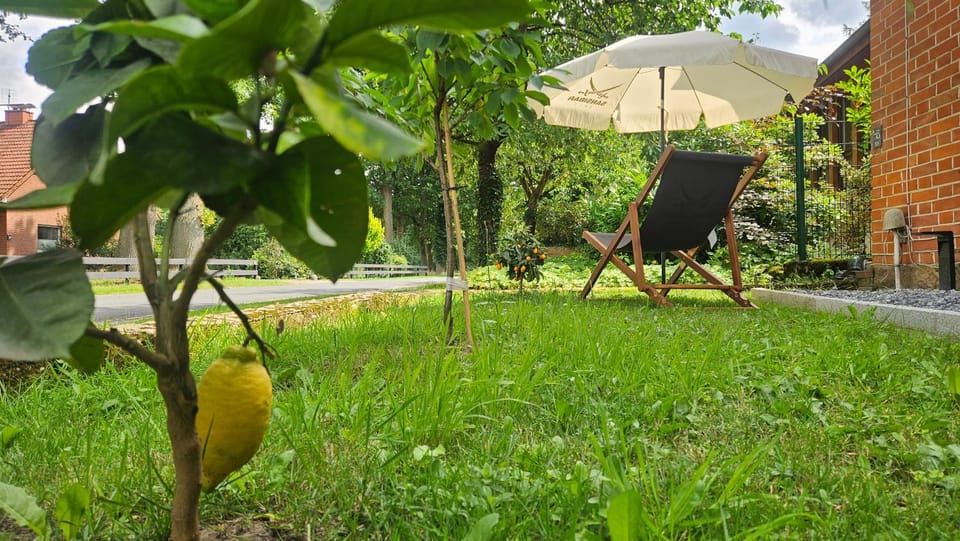 Natural landscape, Garden, Garden view
