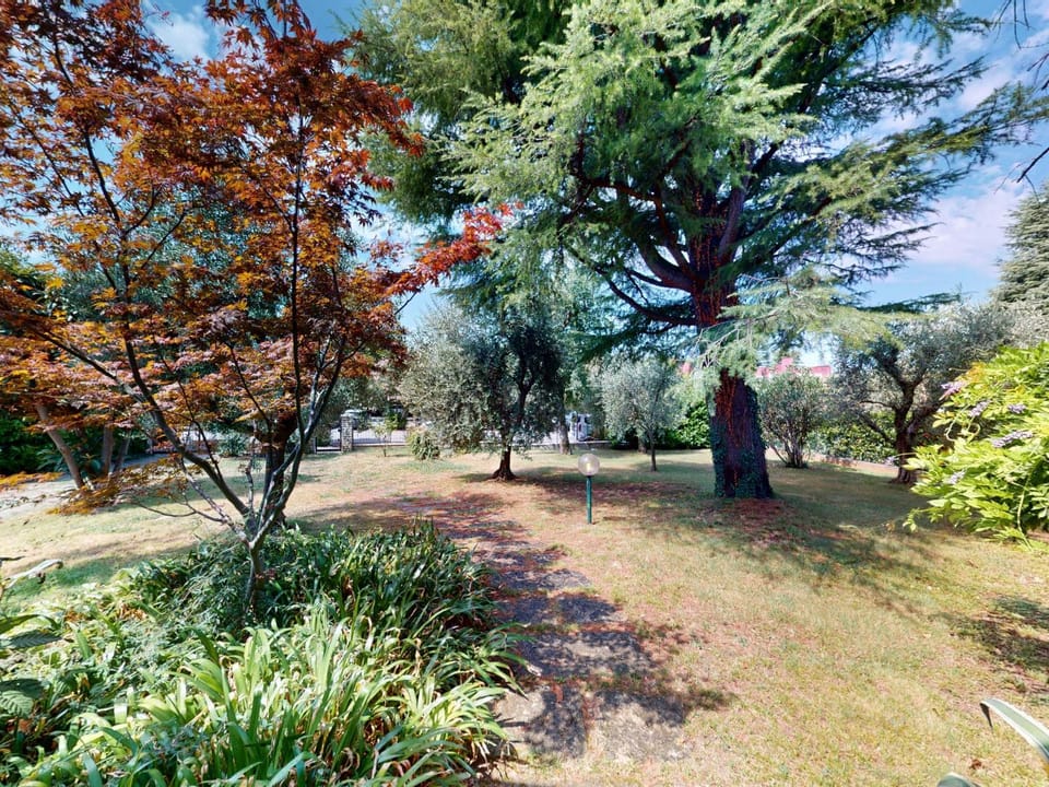 Patio, Garden, Garden view
