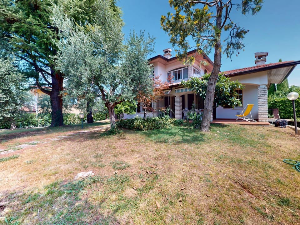 Patio, Garden, Garden view