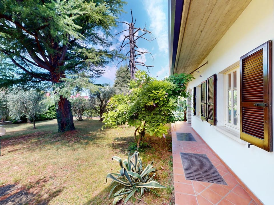 Patio, Garden, Garden view