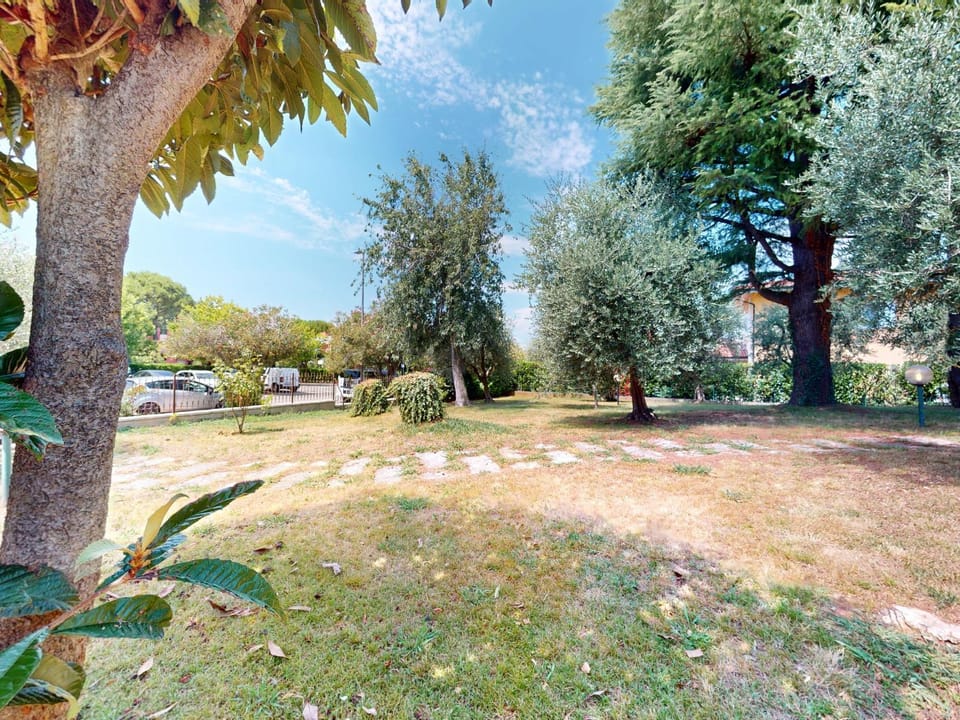 Patio, Garden, Garden view