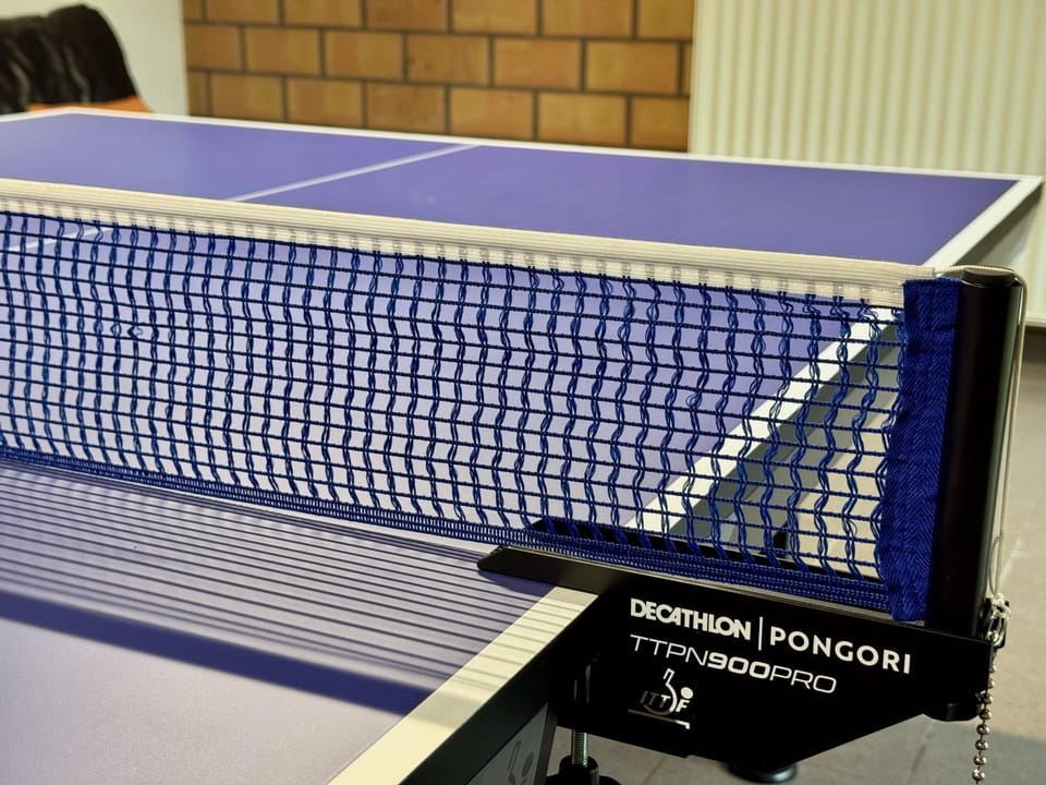 Table tennis, Table tennis