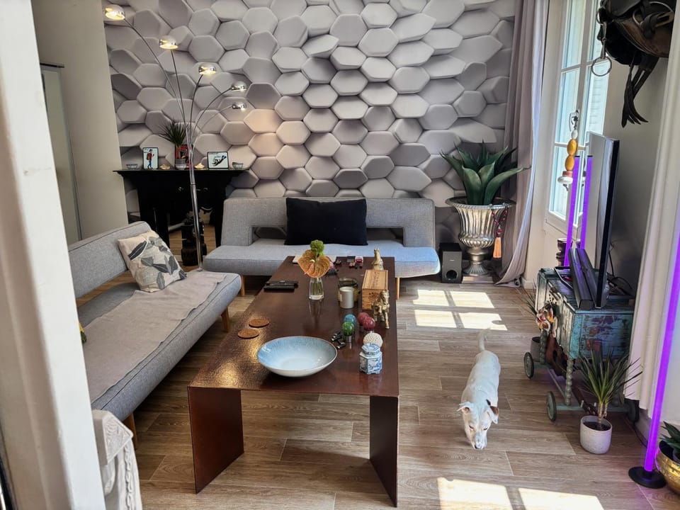 Shared private Appart for up to 2 male traveler under 30s and 2 flatmates résidents Vacation rental in Paris