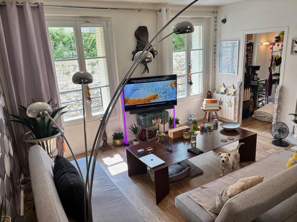 Shared private Appart for up to 2 male traveler under 30s and 2 flatmates résidents Vacation rental in Paris