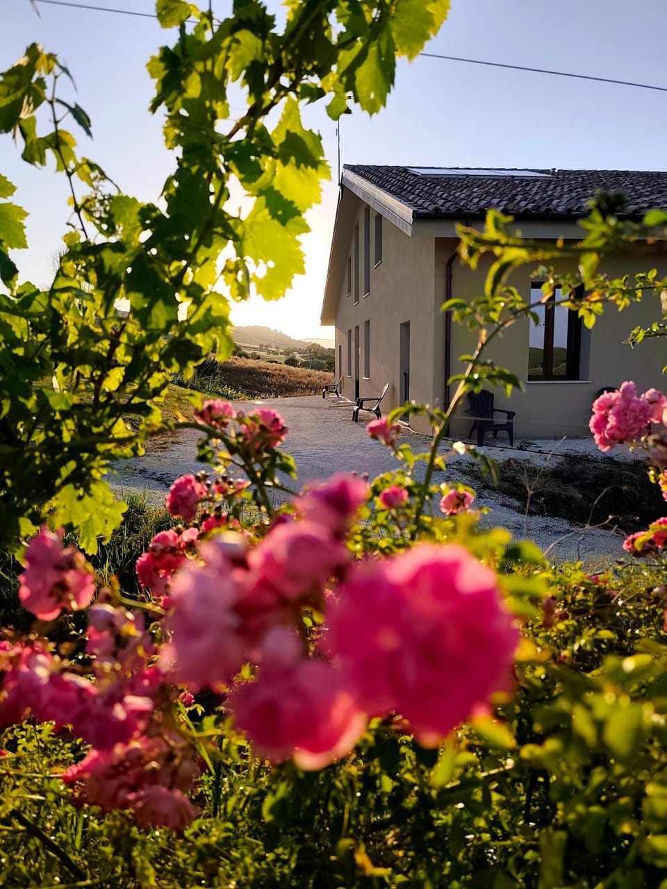 La Vigna 1803 Apartment in Marche