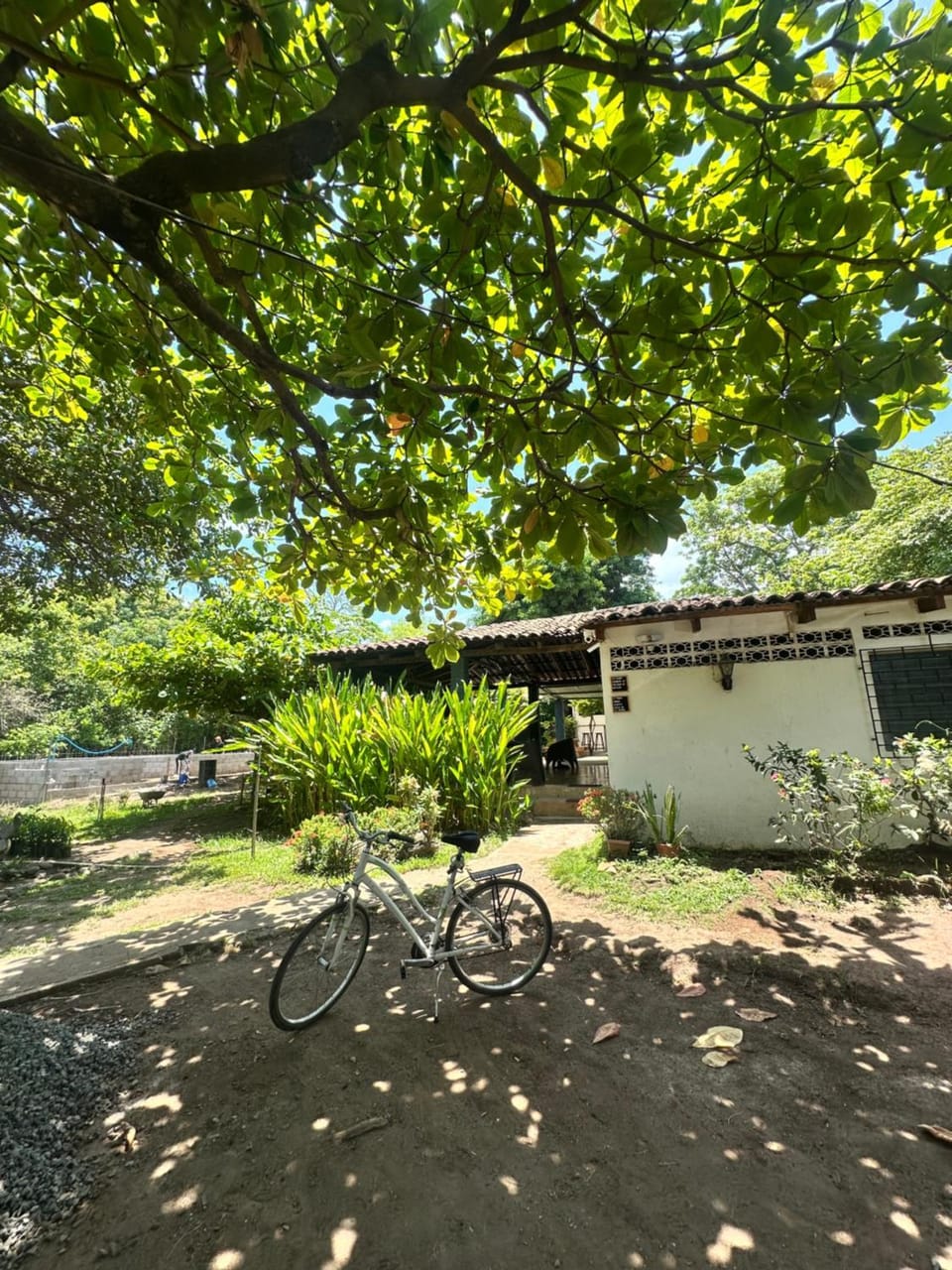 Property building, Day, Garden, Cycling, Garden view