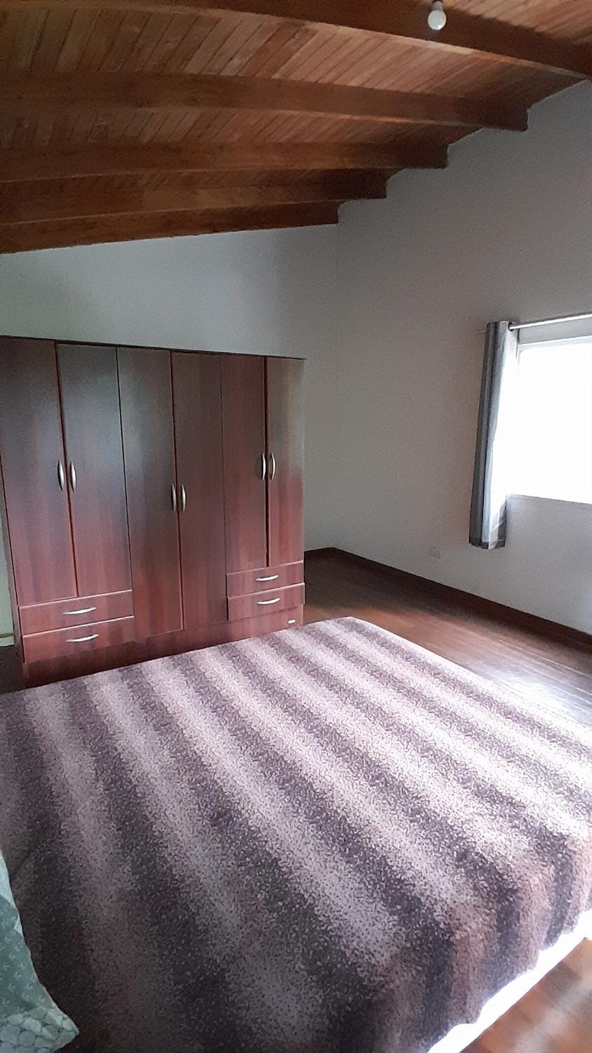 Selva Lunar Apartment in Puerto Iguazú