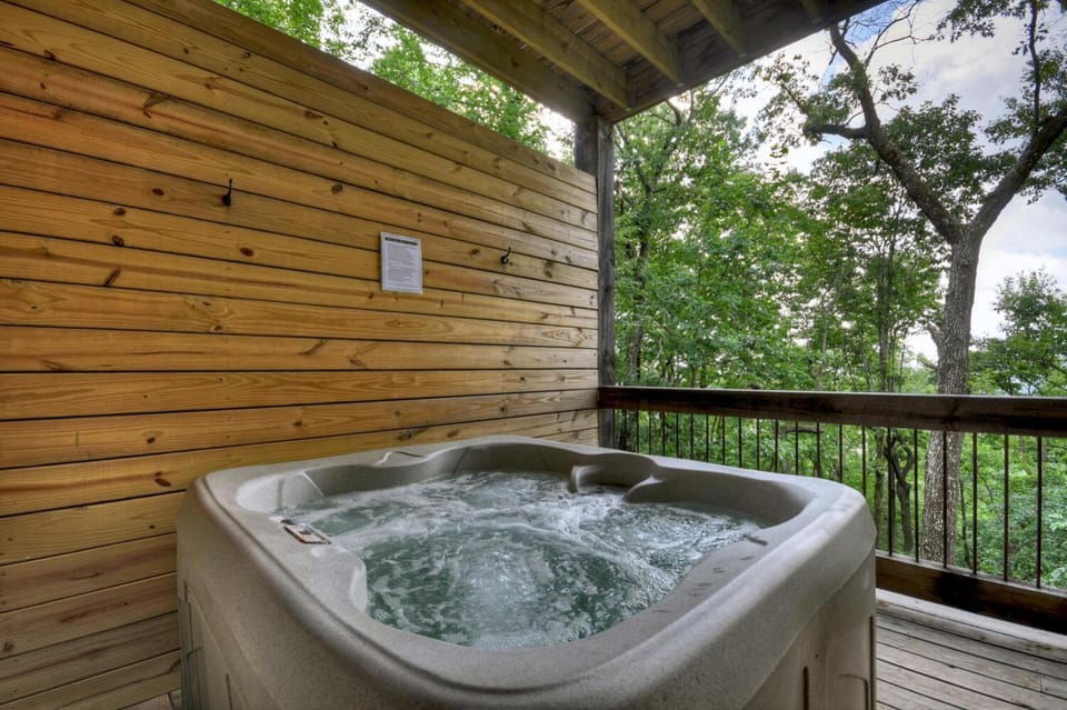 Stardust Ridge House in Georgia