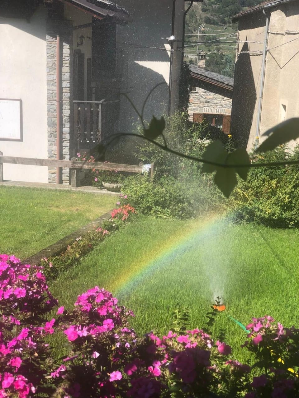 Garden, Garden view