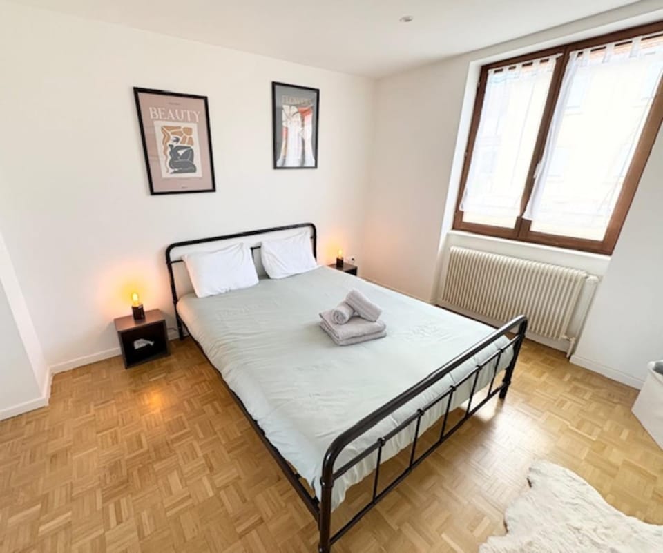 The Dutt's cocoon spacious and charming T3 Apartment in Grand Est