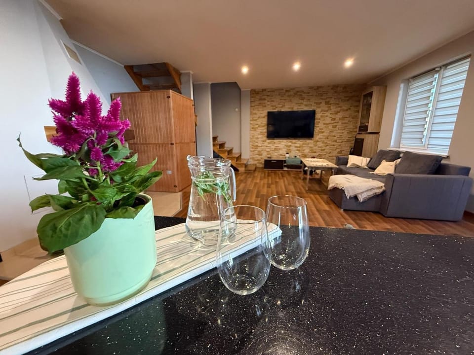 Apartament Bieszczady Darmowa Sauna Jacuzzi 100 metrów od wyciągu narciarskiego!!! Apartment in Poland