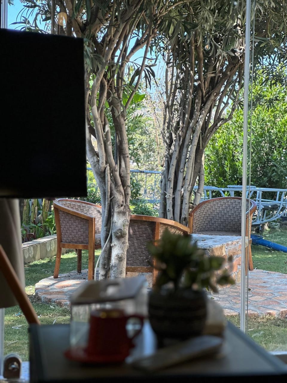 TV and multimedia, Garden view