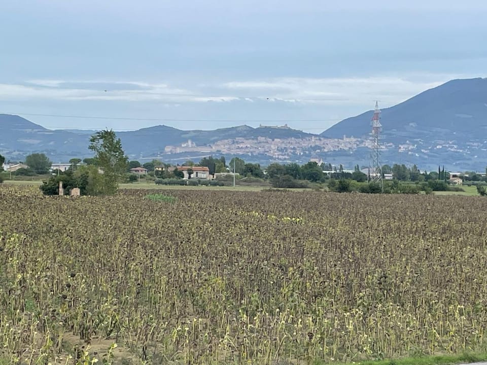 Nearby landmark, Natural landscape