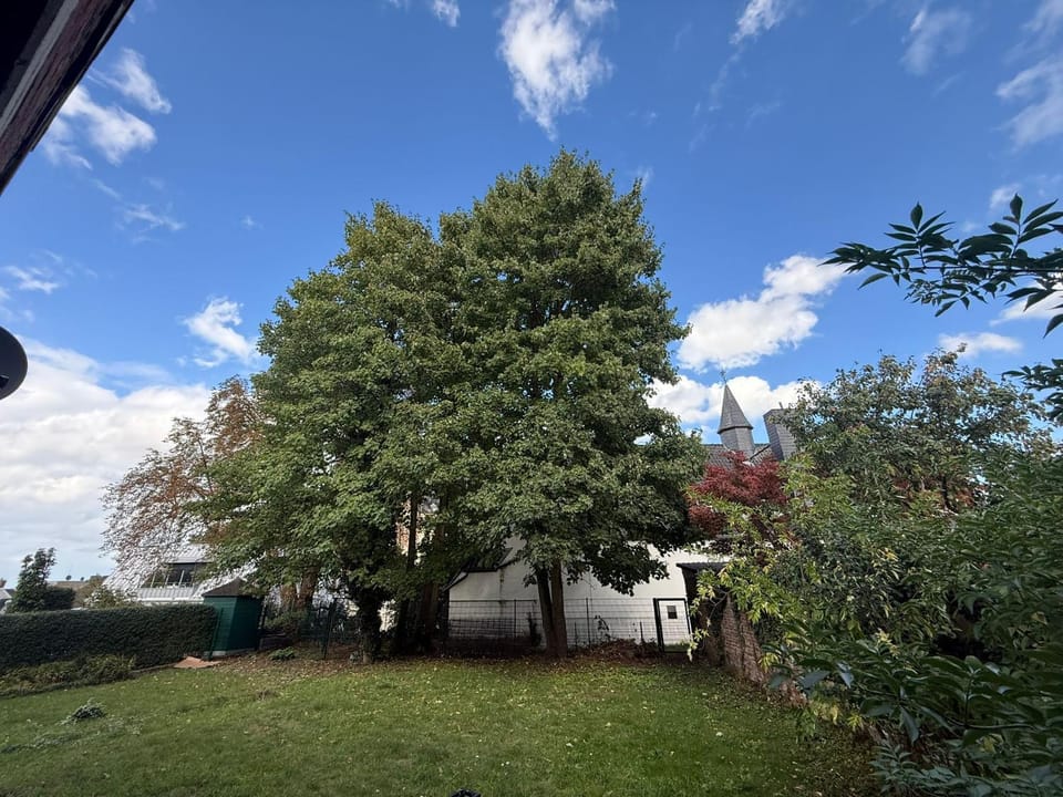 Spring, Garden, Garden, Garden view