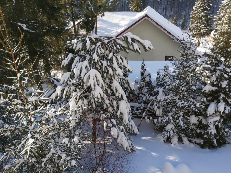 Vila Plai Predeal House in Brașov County