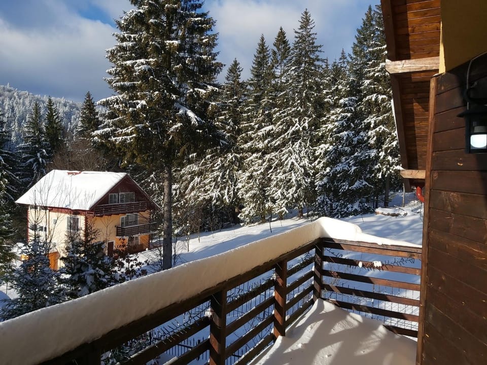 Vila Plai Predeal House in Brașov County