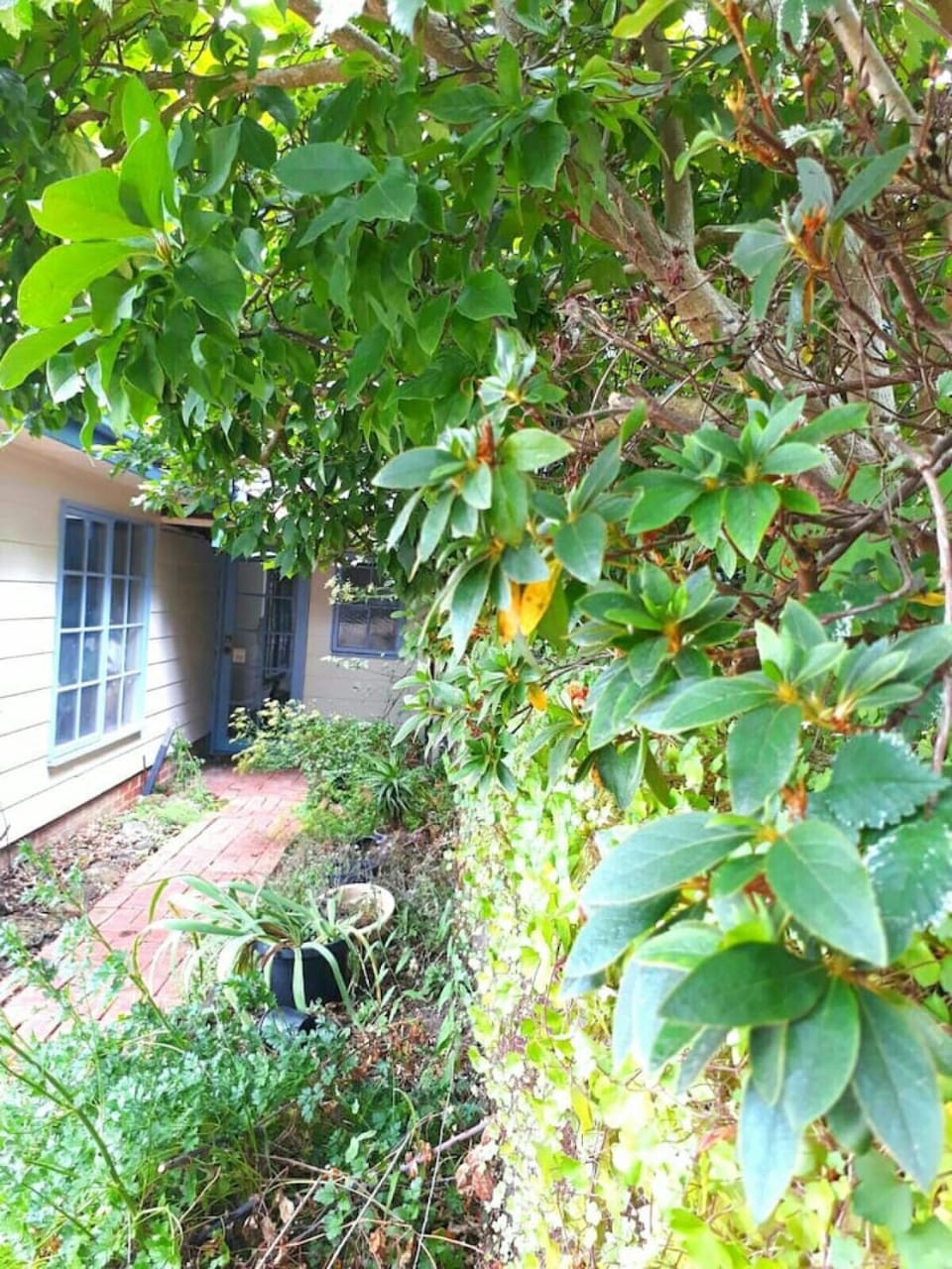 Magnolia Cottage- wineries, main street, station House in Melbourne