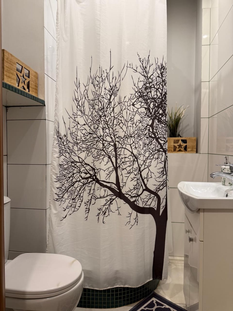 Shower, Toilet
