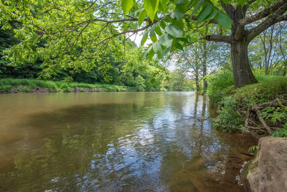 Cabin on the New River with Easy Steps to the River,Hot Tub, Fire Pit Cabin in Ashe County