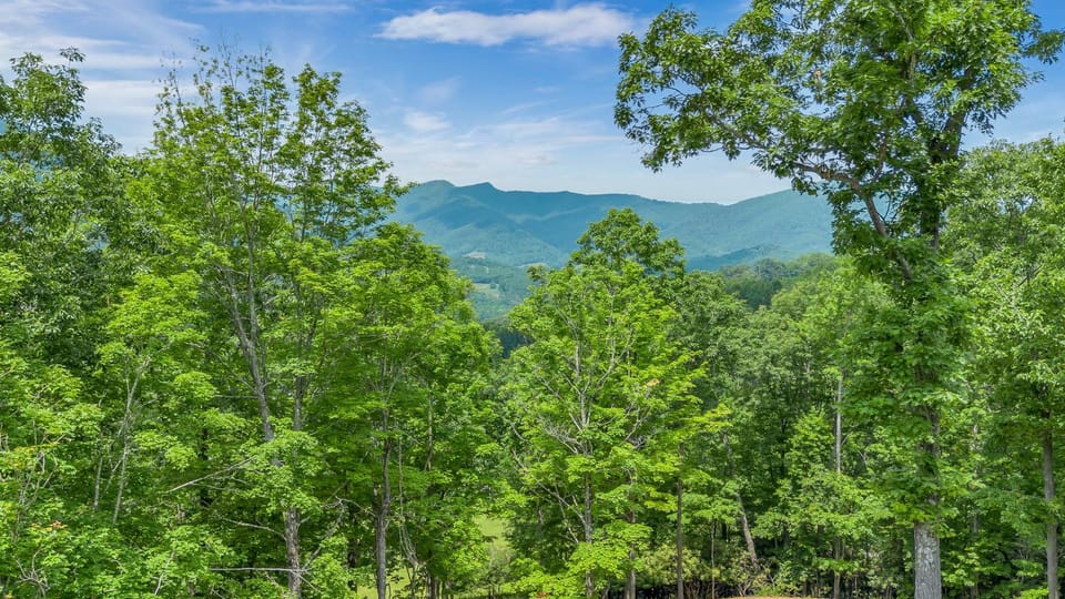 Modern Cabin Perfect for the Family-- Game Room, Stone Fireplace, Sleeps 11 Cabin in North Carolina