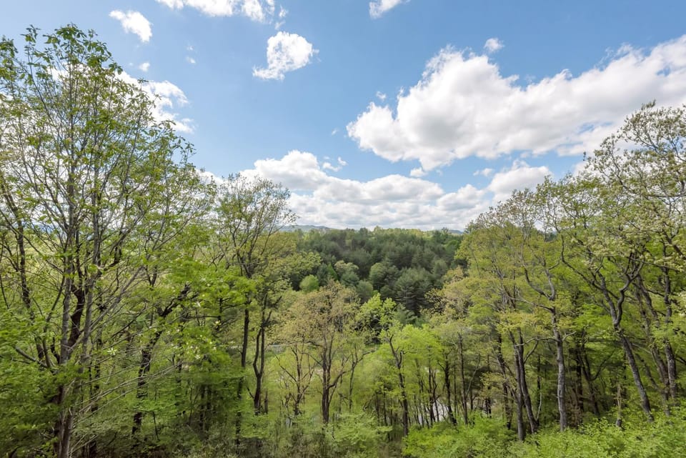 Lazy Dog Log Cabin, Hot Tub, Fishing Lake, New River Access, Foosball Cabin in North Carolina