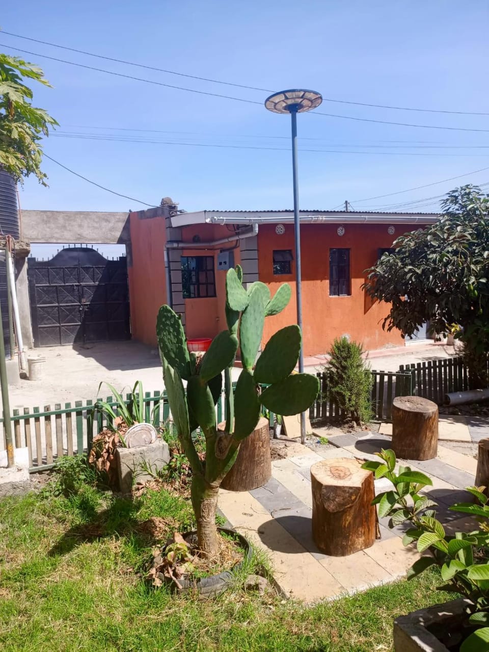 Property building