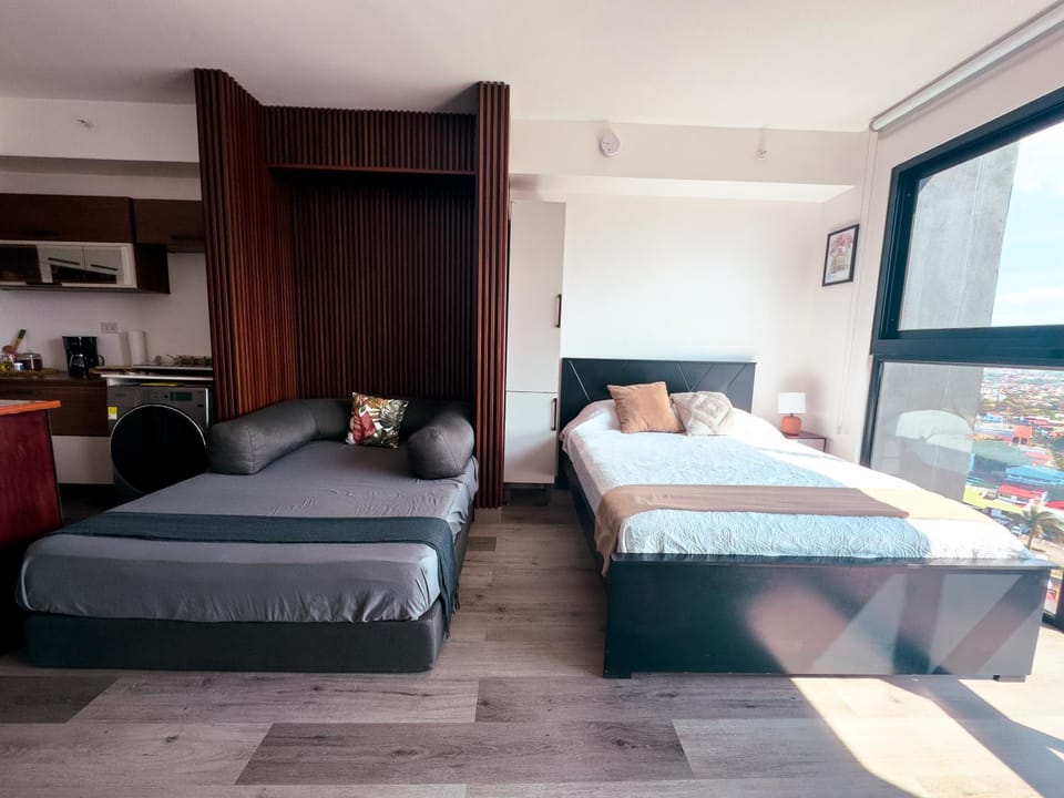 Stunning Sunset View Apartment with Free Parking Apartment in San Jose