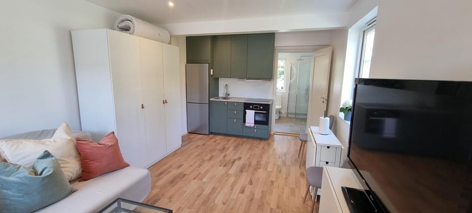 TV and multimedia, Living room, Photo of the whole room, Dining area, oven, stove, kitchen