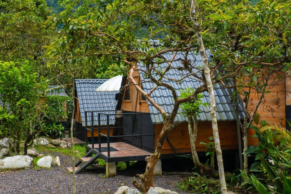 Natural landscape, Garden, Garden view
