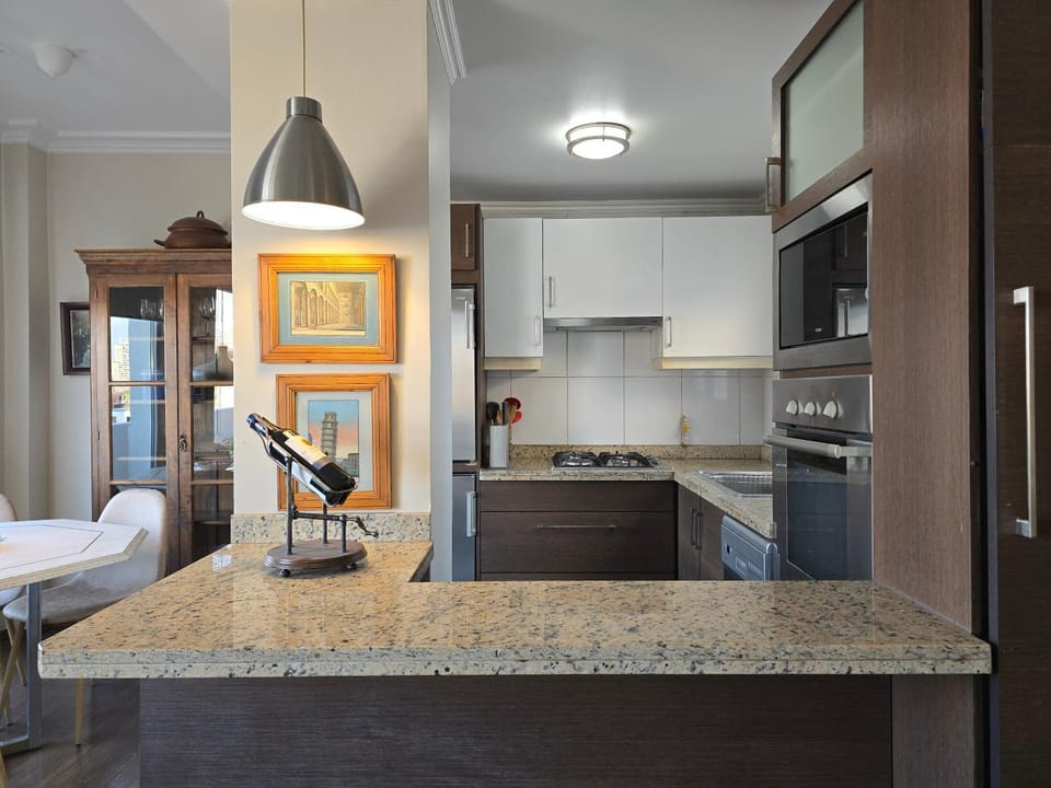 Santiago Centro Bellas Artes Lastarria Apartment in Santiago