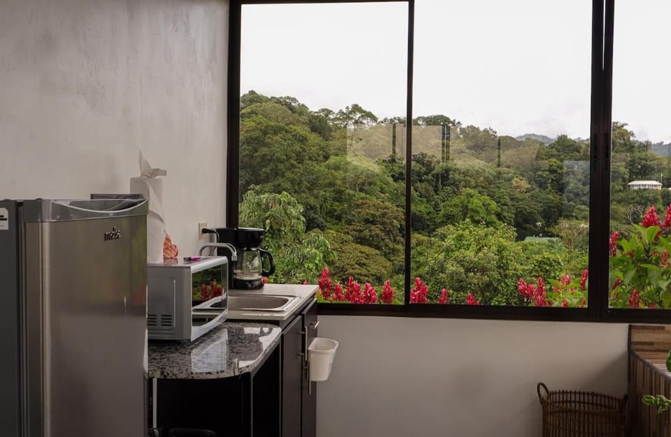 Volcano & Lake View Oasis with Scenic Tub Apartment in Alajuela Province