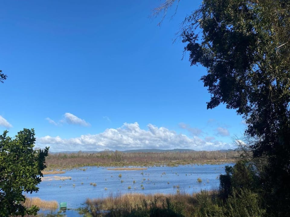 River view