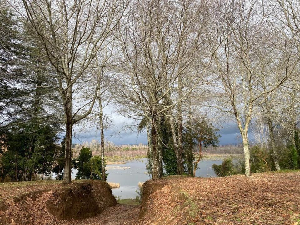 River view