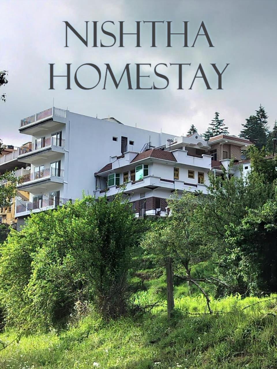 Property building, Activities, Activities