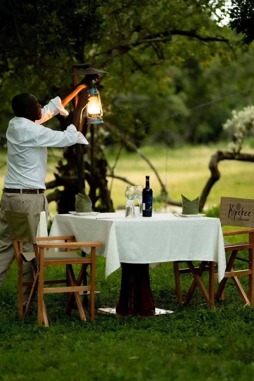 Garden, Food and drinks, Garden view, Drinks