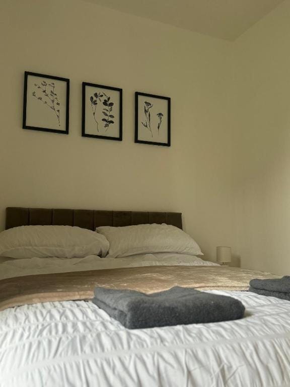 Stephen's Brae Apartment, Inverness City Centre Apartment in Inverness