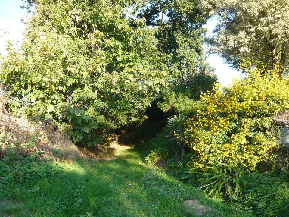 Natural landscape