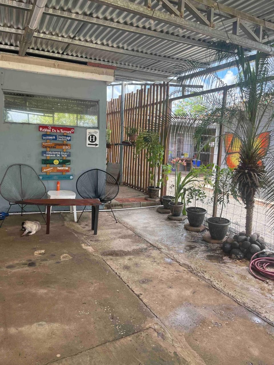 Patio, Pets, pet friendly