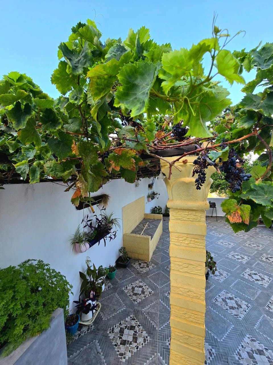 Spring, Day, Garden, Garden view