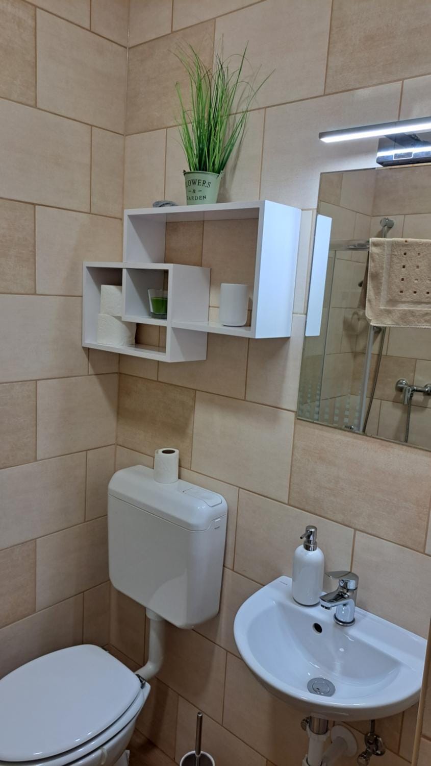 Toilet, Bathroom