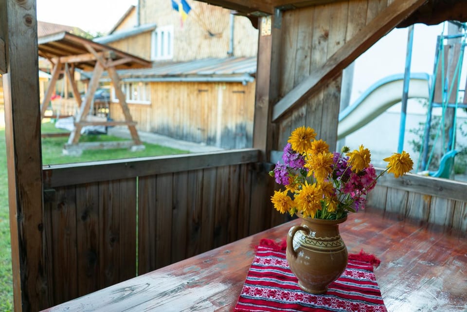 Cabana Georgiana Dealu Negru Chalet in Cluj County