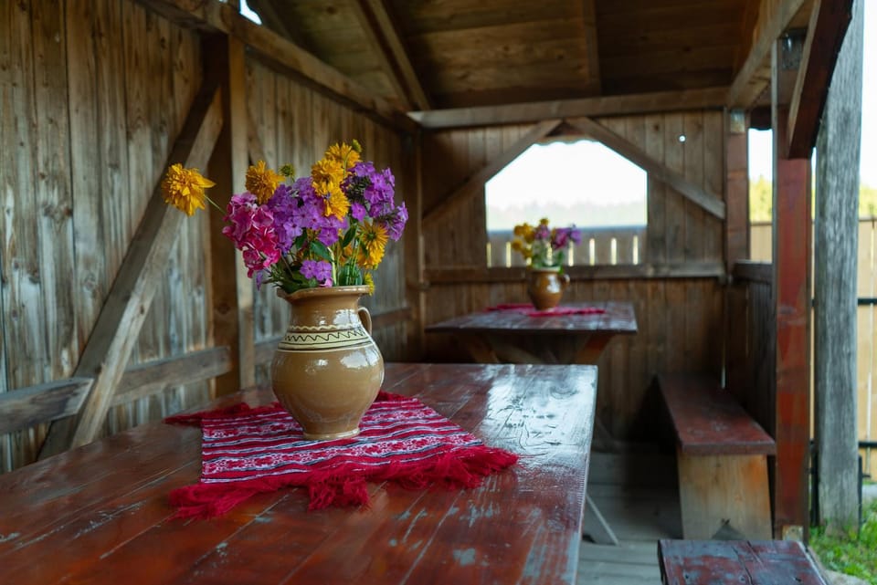 Cabana Georgiana Dealu Negru Chalet in Cluj County