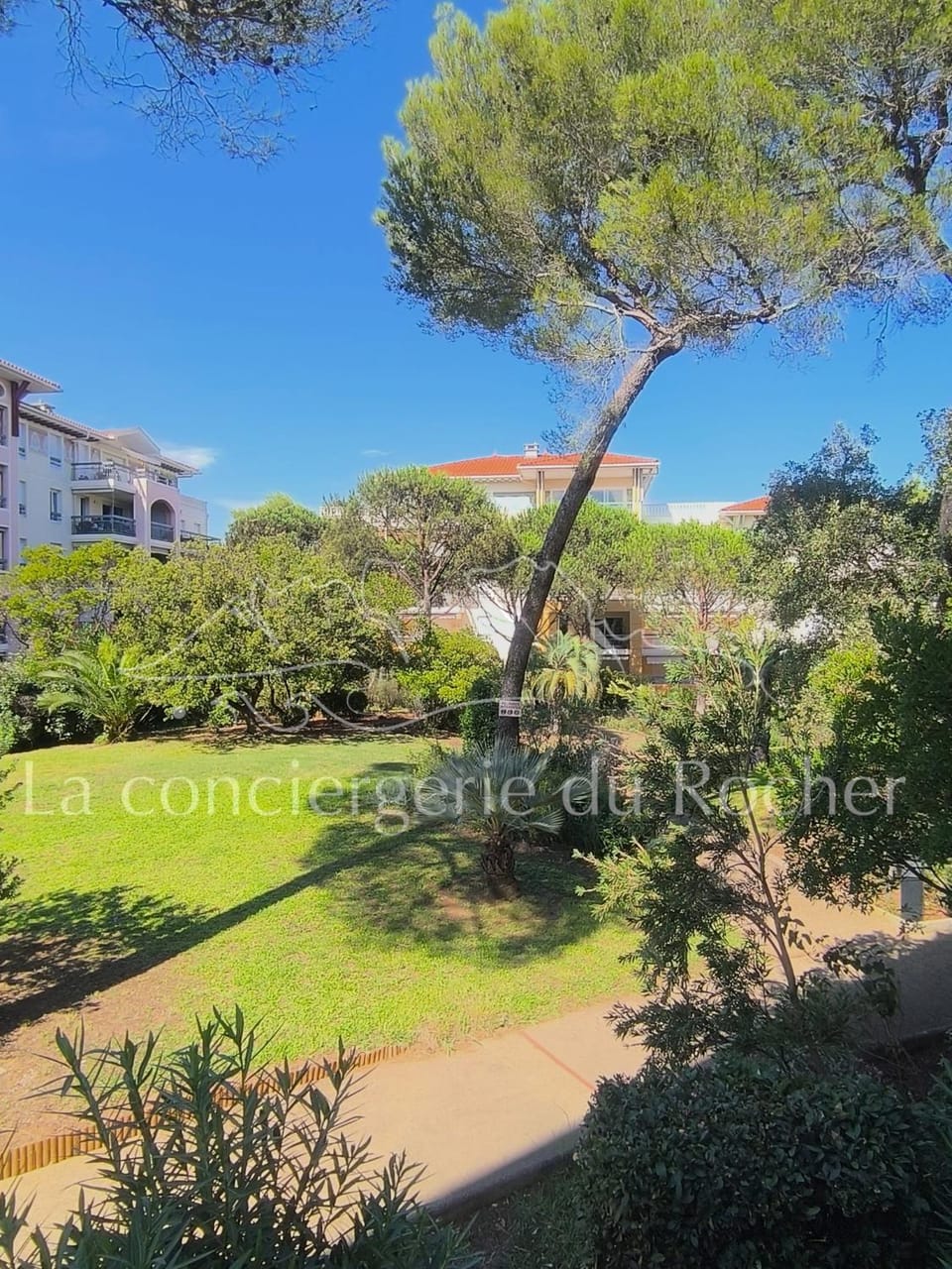 Garden, Garden view
