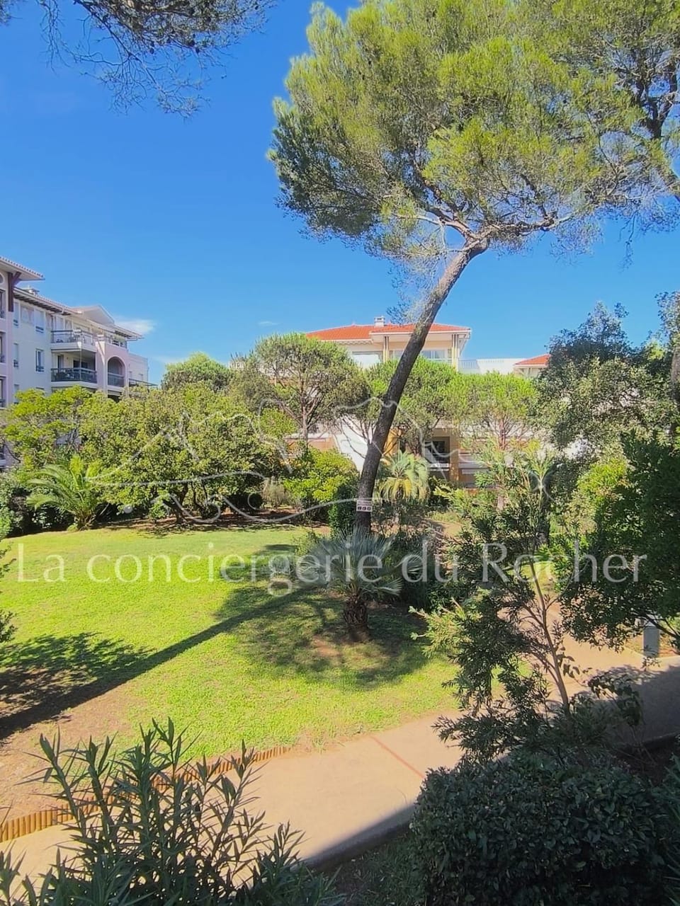 Day, Natural landscape, Garden, Garden view