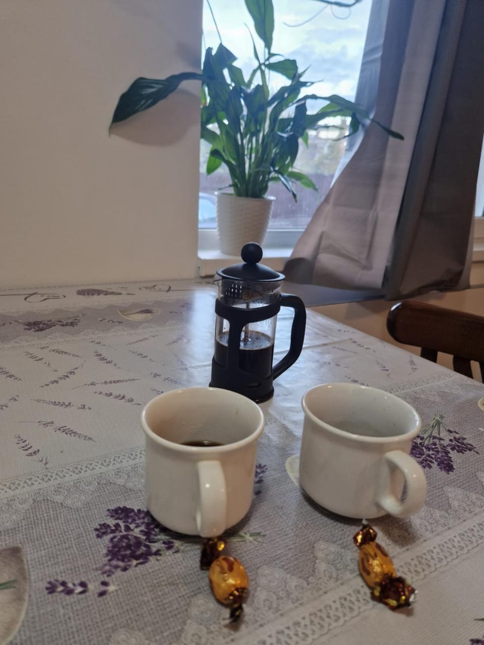 The Ozzy Room Apartment in Brașov County