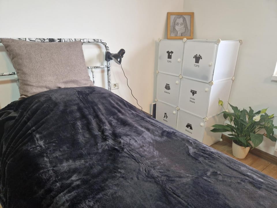 The Ozzy Room Apartment in Brașov County