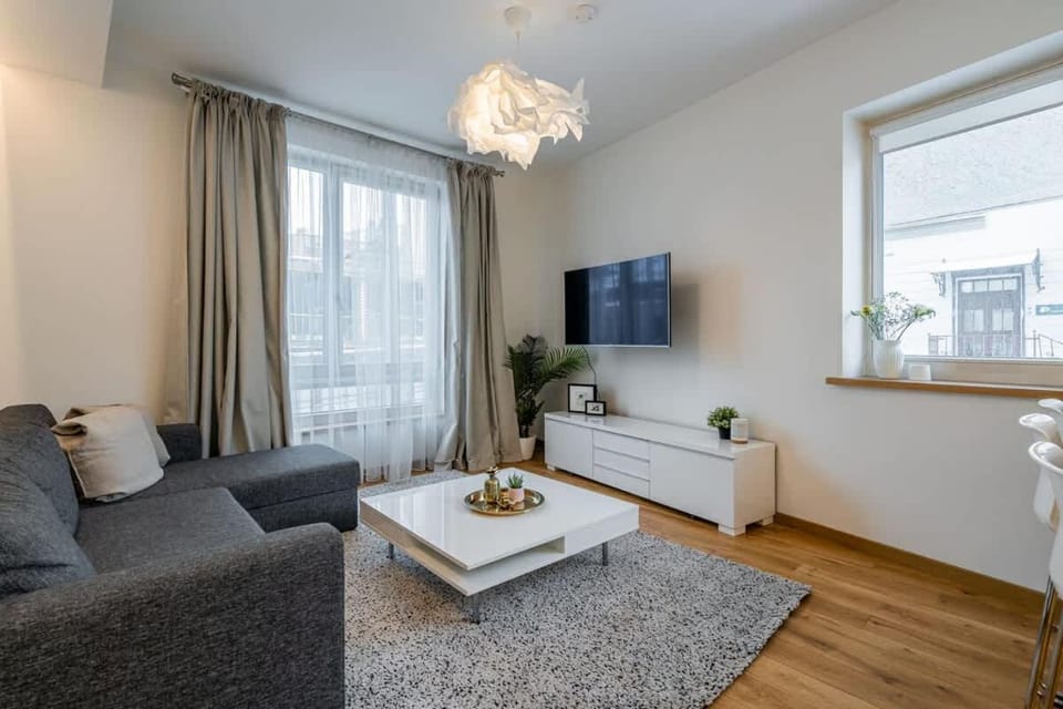Domillion 1bdr lovely apt with parking &lift B9a4 Apartment in Vilnius