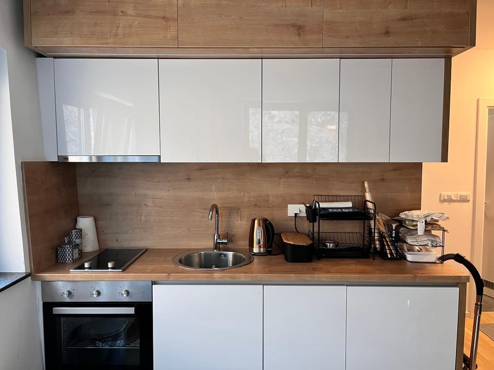 The New Wild Apartment apartman sa garaznim mjestom Apartment in Federation of Bosnia and Herzegovina